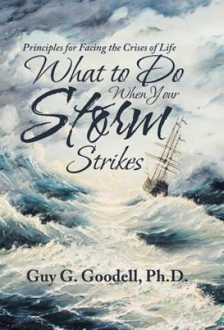 Kniha What to Do When Your Storm Strikes Ph. D. Guy G. Goodell