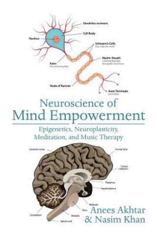 Kniha Neuroscience of Mind Empowerment Anees Akhtar