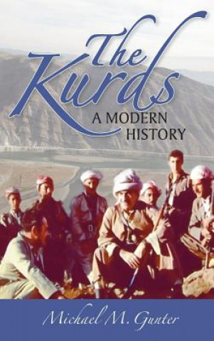 Carte Kurds Michael M. Gunter