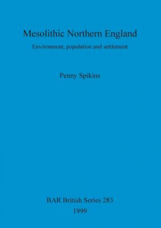 Kniha Mesolithic Northern England Penny Spikins