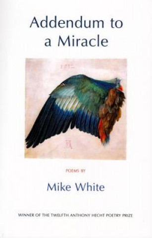 Könyv Addendum to a Miracle Mark White