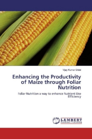 Книга Enhancing the Productivity of Maize through Foliar Nutrition Vijay Kumar Didal