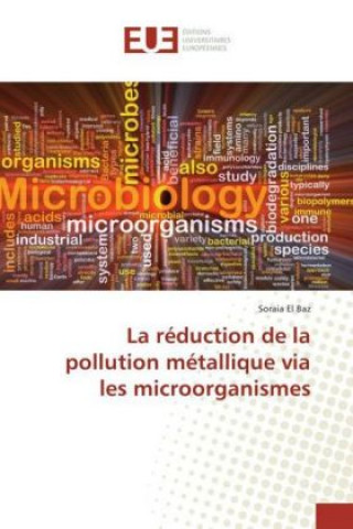 Carte La réduction de la pollution métallique via les microorganismes Soraia El Baz