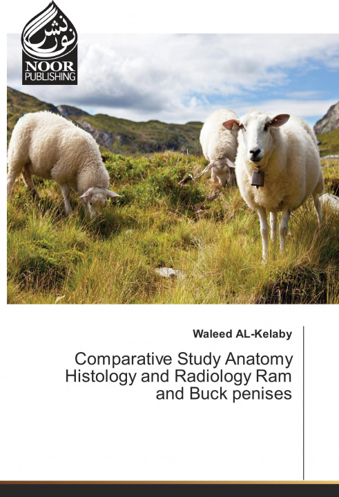 Knjiga Comparative Study Anatomy Histology and Radiology Ram and Buck penises Waleed Al-Kelaby