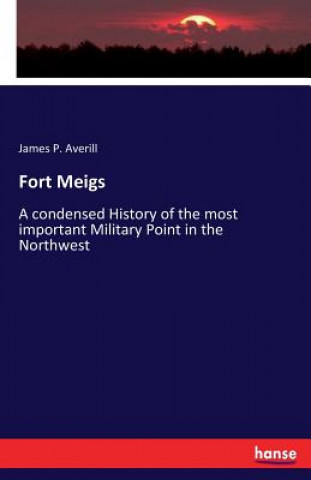 Kniha Fort Meigs James P. Averill