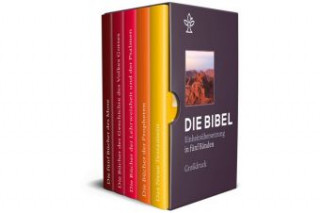 Книга Bibel in 5 Einzelbüchern in Geschenkkassette, Großdruck 