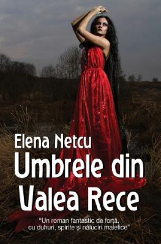 Kniha RUM-UMBRELE DIN VALEA RECE Elena Netcu