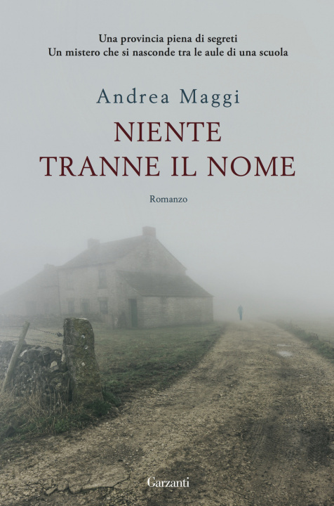 Buch Niente tranne il nome Andrea Maggi