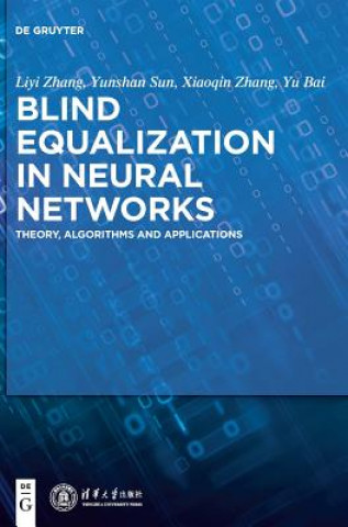 Kniha Blind Equalization in Neural Networks Liyi Zhang