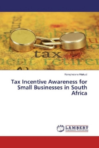 Kniha Tax Incentive Awareness for Small Businesses in South Africa Ramphelane Hlakudi