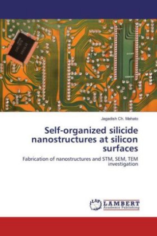 Livre Self-organized silicide nanostructures at silicon surfaces Jagadish Ch. Mahato