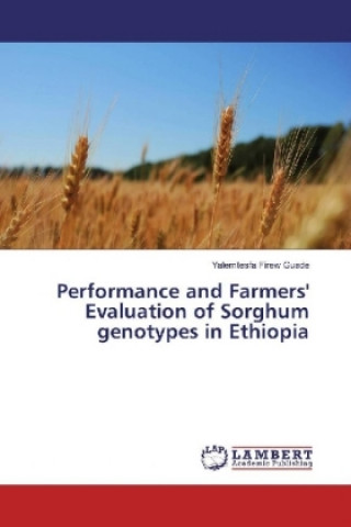 Kniha Performance and Farmers' Evaluation of Sorghum genotypes in Ethiopia Yalemtesfa Firew Guade