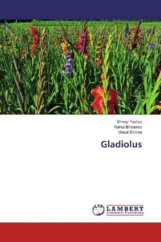 Book Gladiolus Shivaji Yadlod