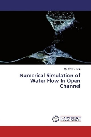 Kniha Numerical Simulation of Water Flow In Open Channel Ng Boon Chong