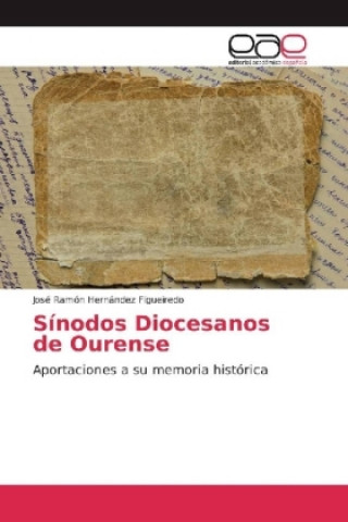 Kniha Sínodos Diocesanos de Ourense José Ramón Hernández Figueiredo