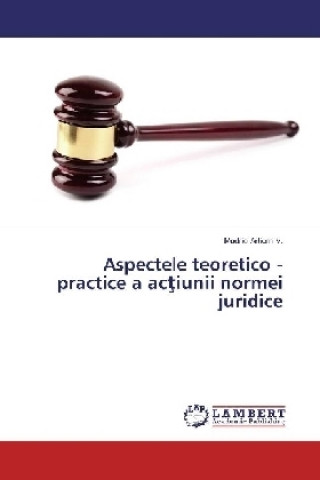Kniha Aspectele teoretico - practice a actiunii normei juridice Mudric Artiom V.