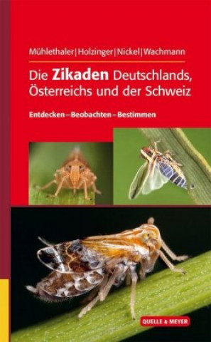 Carte Die Zikaden Deutschlands, Österreichs und der Schweiz Roland Mühlethaler