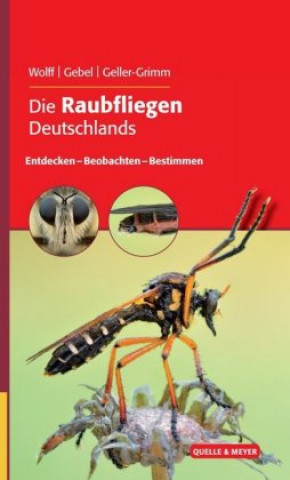 Книга Die Raubfliegen Deutschlands Danny Wolff