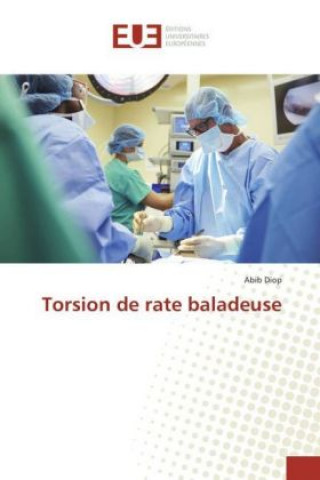 Kniha Torsion de rate baladeuse Abib Diop