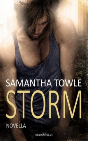 Kniha Storm Samantha Towle