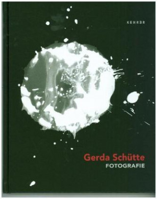 Könyv Gerda Schütte Semjon H. N. Semjon