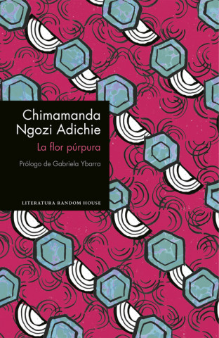 Kniha La flor púrpura CHIMAMANDA NGOZI ADICHIE