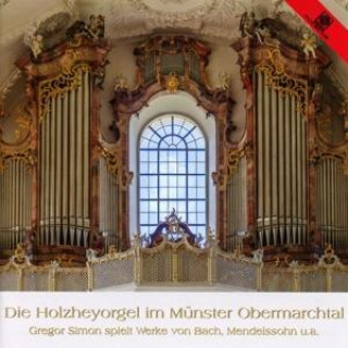 Zvok Holzheyorgel Im Münster Gregor Simon