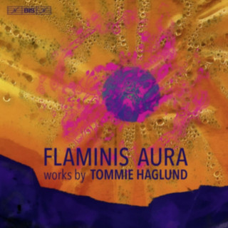 Аудио Flaminis Aura Glaser/Afkham/Gustafsson/ZilliacusPerssonRaitinen