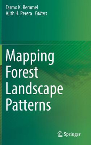 Könyv Mapping Forest Landscape Patterns Tarmo Remmel