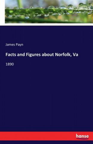 Книга Facts and Figures about Norfolk, Va James Payn