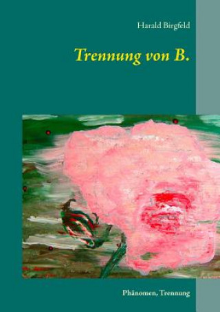 Book Trennung von B. Harald Birgfeld