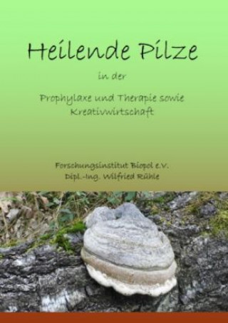 Książka Naturwirkstoffe für die Prophylaxe und Therapie sowie Kreativwirtschaft Wilfried Rühle