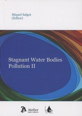 Carte Stagnant Water Bodies Pollution II 