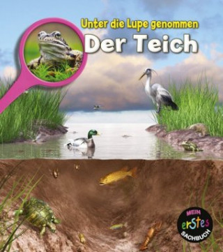 Buch Der Teich Louise Spilsbury