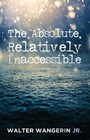 Buch Absolute, Relatively Inaccessible Walter Jr. Wangerin
