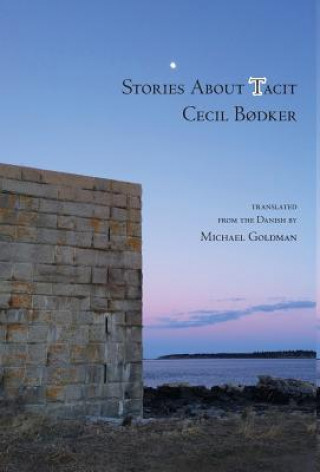 Könyv Stories about Tacit Cecil Bodker