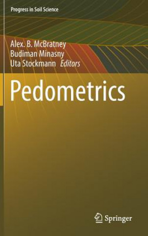 Kniha Pedometrics Alex. B. McBratney