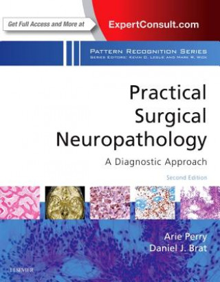 Kniha Practical Surgical Neuropathology: A Diagnostic Approach Arie Perry