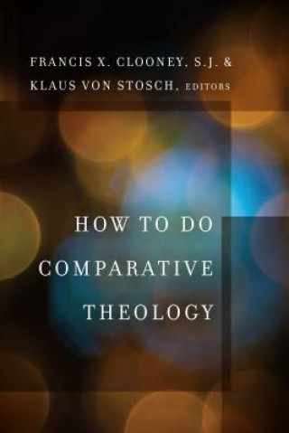 Carte How to Do Comparative Theology Francis X Clooney