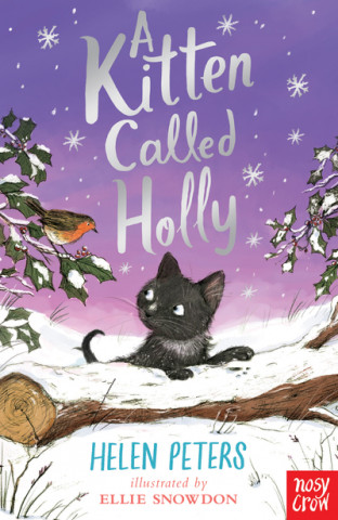 Kniha Kitten Called Holly Helen Peters