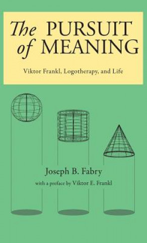 Kniha Pursuit of Meaning JOSEPH B FABRY