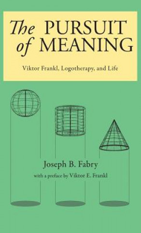 Knjiga Pursuit of Meaning JOSEPH B FABRY