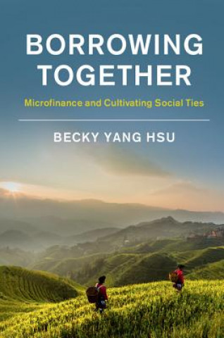 Livro Borrowing Together Becky (Georgetown University Washington DC) Hsu