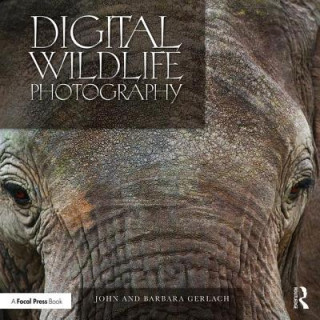 Carte Digital Wildlife Photography GERLACH