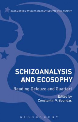 Книга Schizoanalysis and Ecosophy Constantin V. Boundas