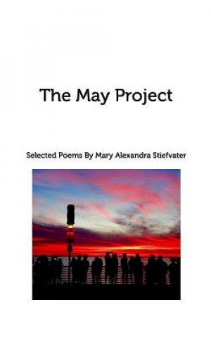 Buch May Project MARY ALE STIEFVATER
