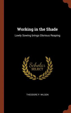 Книга Working in the Shade THEODORE P. WILSON