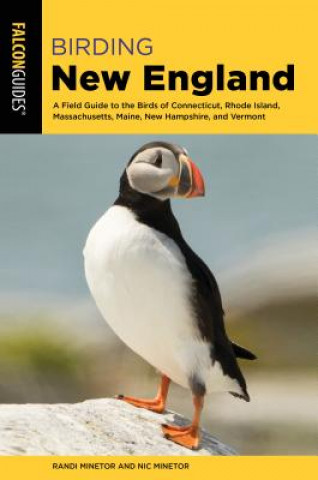 Kniha Birding New England Randi Minetor
