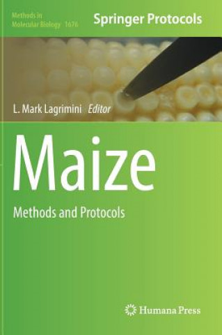 Könyv Maize L. Mark Lagrimini