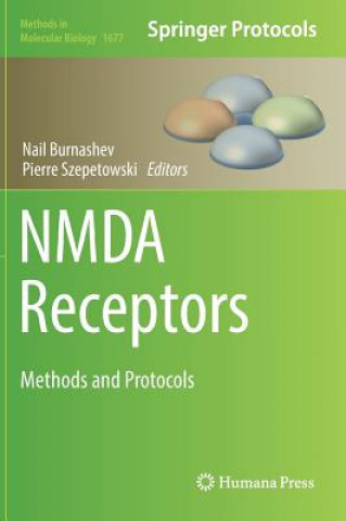 Buch NMDA Receptors Nail Burnashev